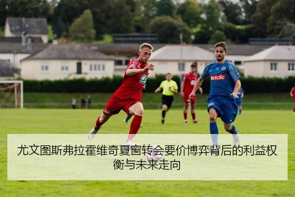 img_1781212896087_3152_1_511.jpg