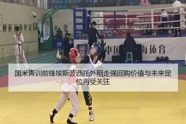 国米青训前锋埃斯波西托外租走强回购价值与未来定位再受关注