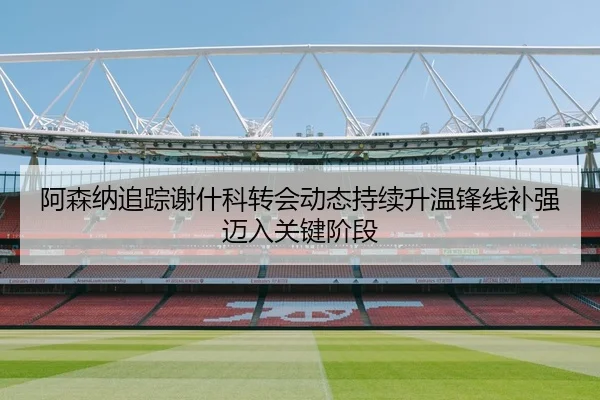 阿森纳追踪谢什科转会动态持续升温锋线补强迈入关键阶段